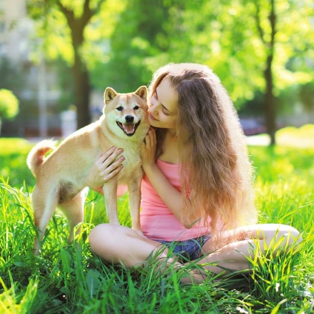 köpekler sahiplerine benzer mi