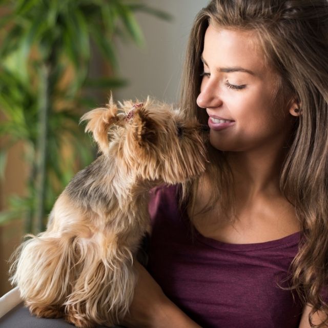 köpeklerin sahiplerine benzemesi